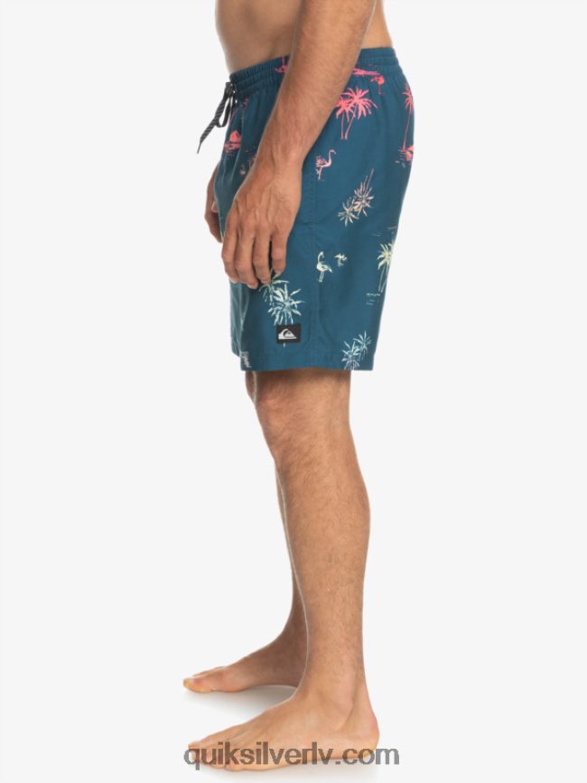 vīriešiem Quiksilver ikdienas mix 17 zalves majolika zila 88064R1465