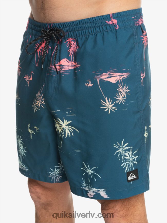 vīriešiem Quiksilver ikdienas mix 17 zalves majolika zila 88064R1465
