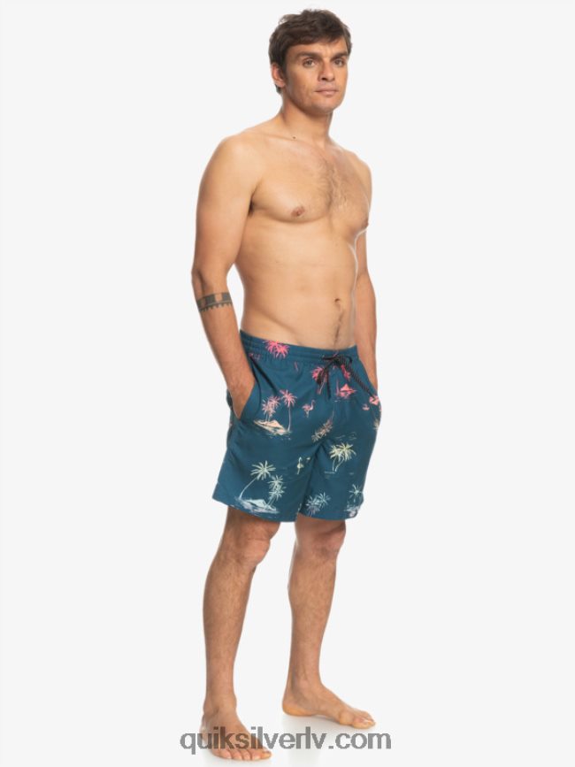 vīriešiem Quiksilver ikdienas mix 17 zalves majolika zila 88064R1465