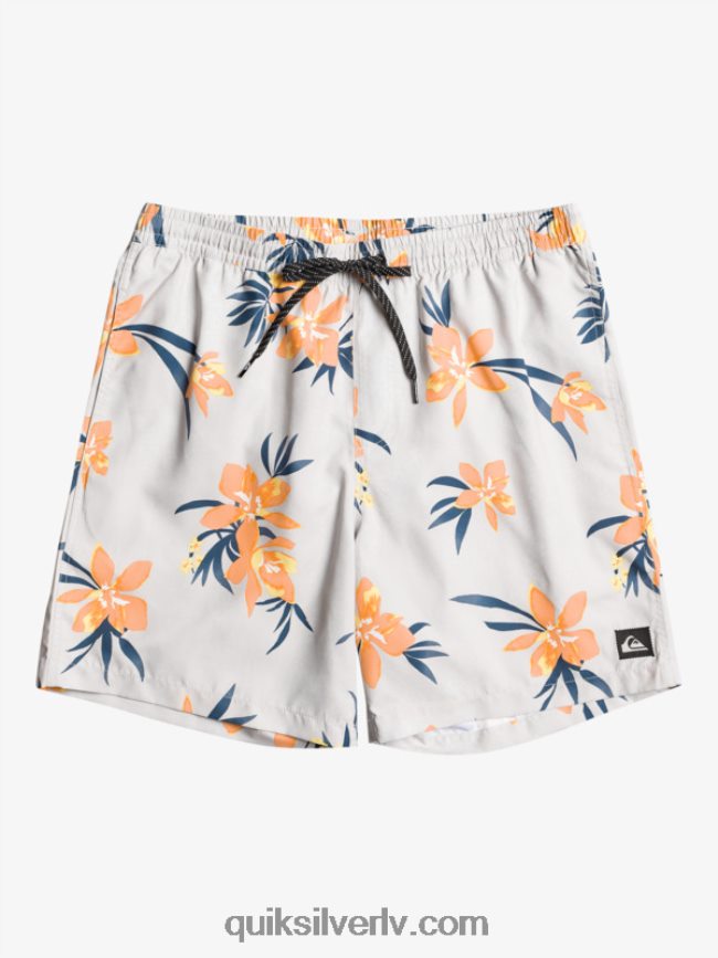 vīriešiem Quiksilver ikdienas mix 17 zalves pelēka violeta 88064R1210