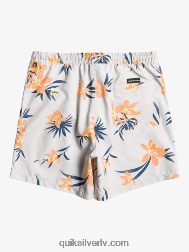 vīriešiem Quiksilver ikdienas mix 17 zalves pelēka violeta 88064R1210