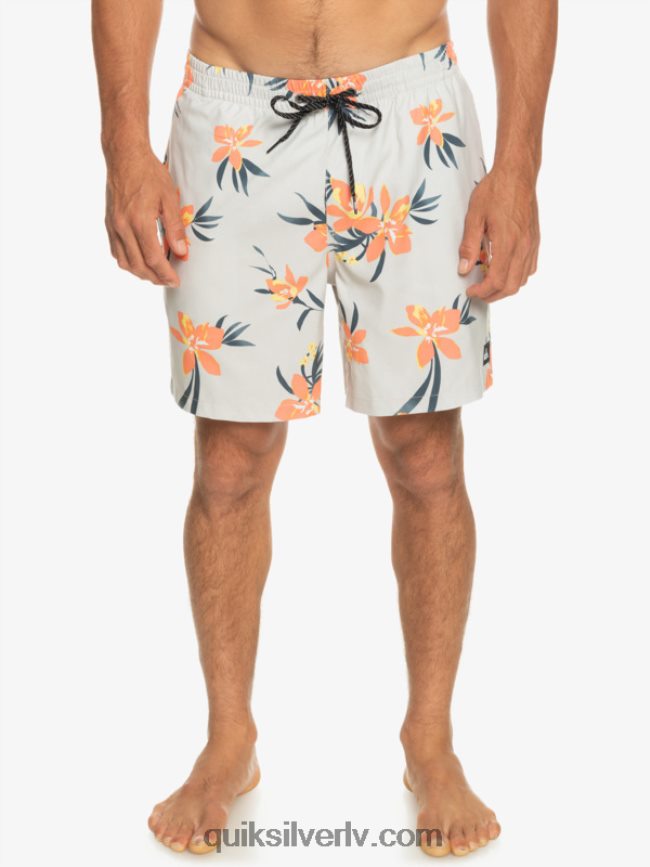 vīriešiem Quiksilver ikdienas mix 17 zalves pelēka violeta 88064R1210