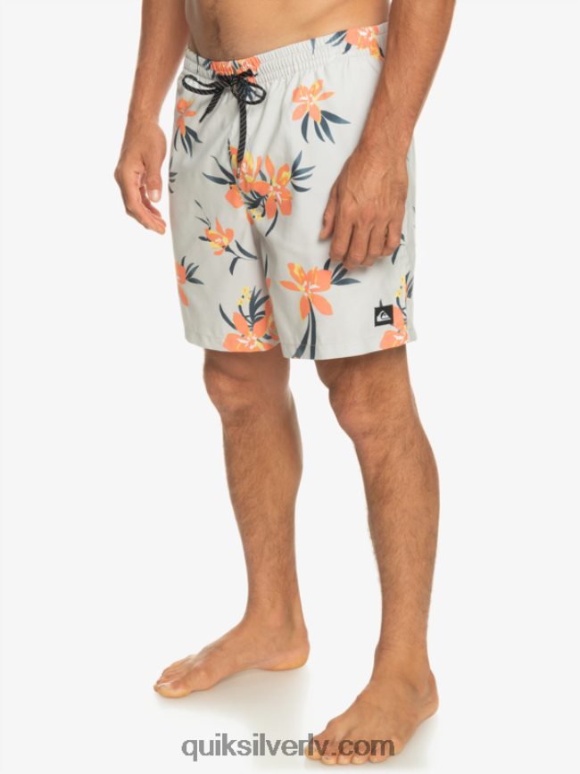 vīriešiem Quiksilver ikdienas mix 17 zalves pelēka violeta 88064R1210