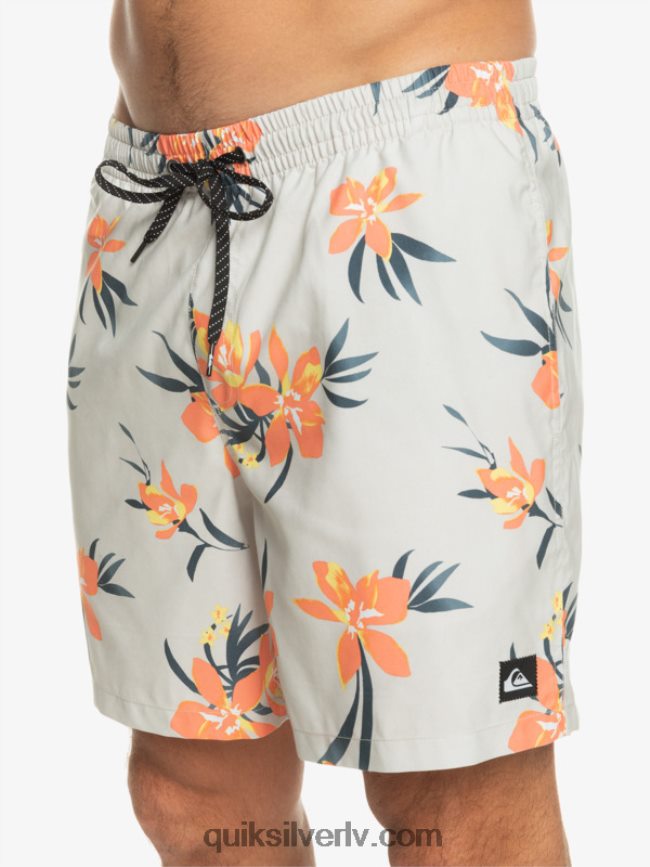 vīriešiem Quiksilver ikdienas mix 17 zalves pelēka violeta 88064R1210