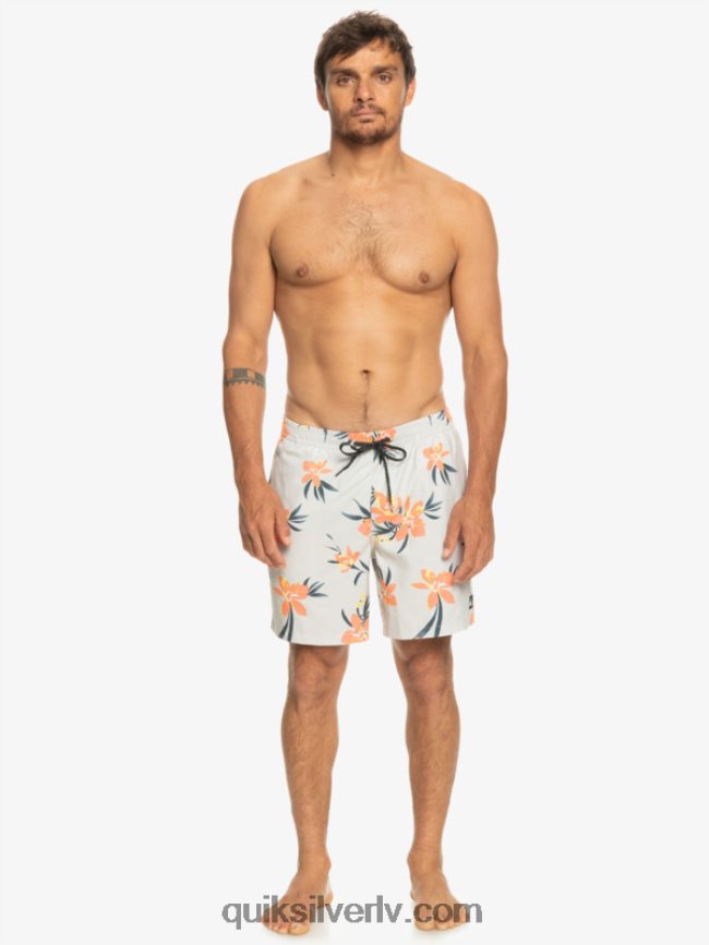 vīriešiem Quiksilver ikdienas mix 17 zalves pelēka violeta 88064R1210