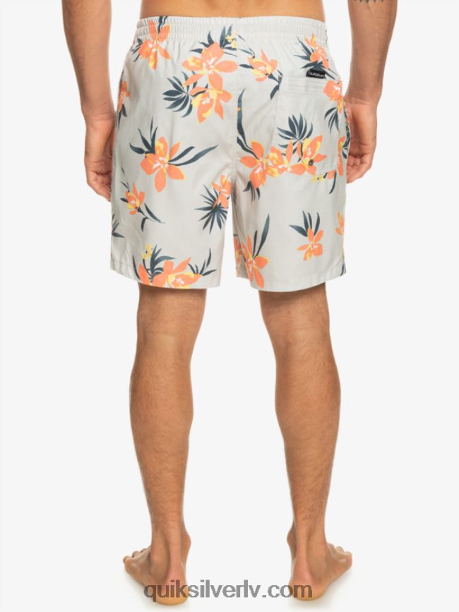 vīriešiem Quiksilver ikdienas mix 17 zalves pelēka violeta 88064R1210