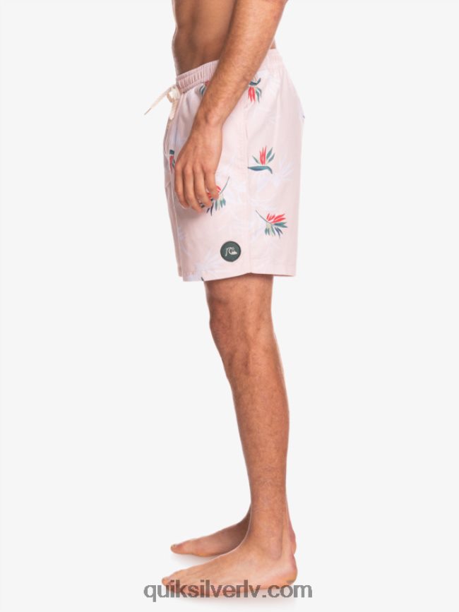 vīriešiem Quiksilver ikdienas mix 17 zalves plīvuru roze 88064R1467