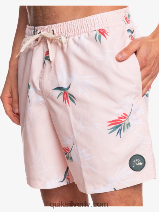 vīriešiem Quiksilver ikdienas mix 17 zalves plīvuru roze 88064R1467