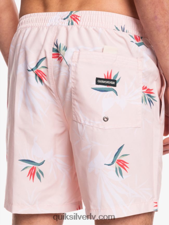 vīriešiem Quiksilver ikdienas mix 17 zalves plīvuru roze 88064R1467
