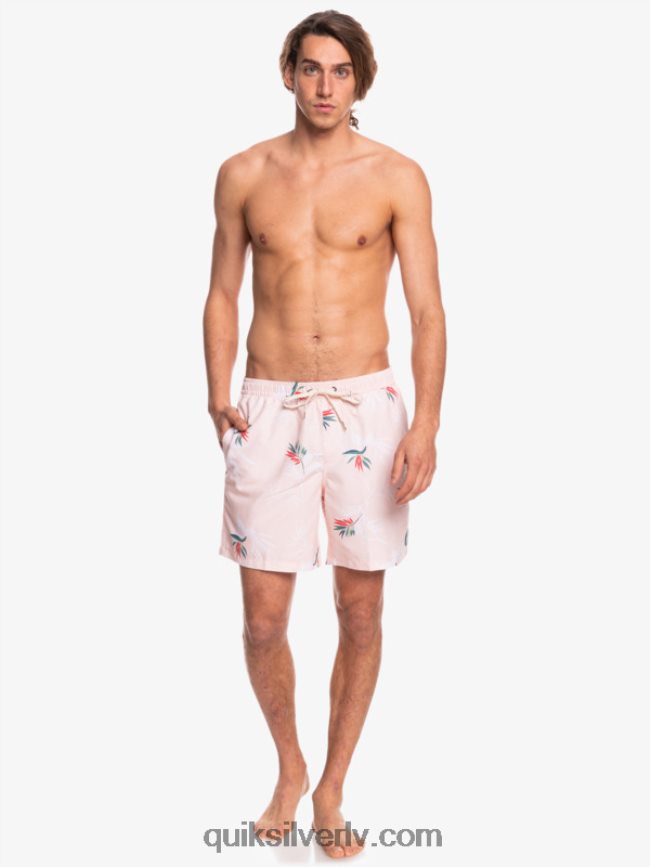vīriešiem Quiksilver ikdienas mix 17 zalves plīvuru roze 88064R1467