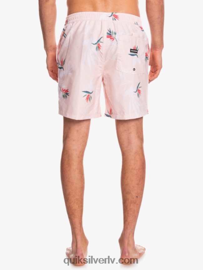 vīriešiem Quiksilver ikdienas mix 17 zalves plīvuru roze 88064R1467