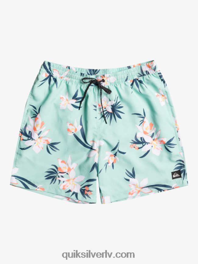 vīriešiem Quiksilver ikdienas mix 17 zalves pludmales stikls 88064R1211