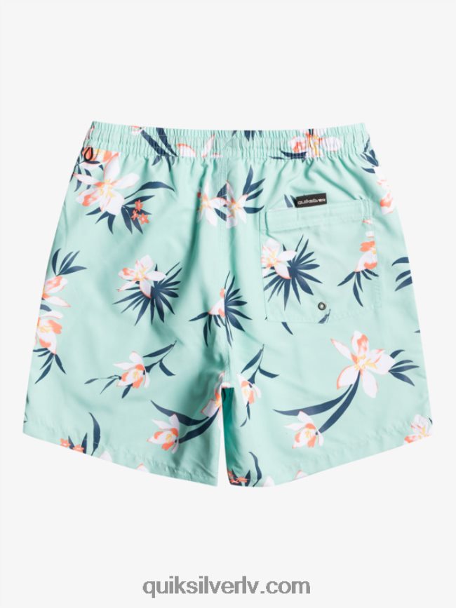 vīriešiem Quiksilver ikdienas mix 17 zalves pludmales stikls 88064R1211