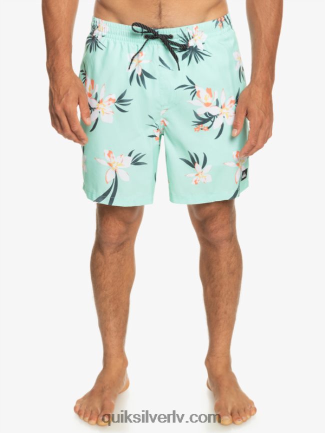 vīriešiem Quiksilver ikdienas mix 17 zalves pludmales stikls 88064R1211