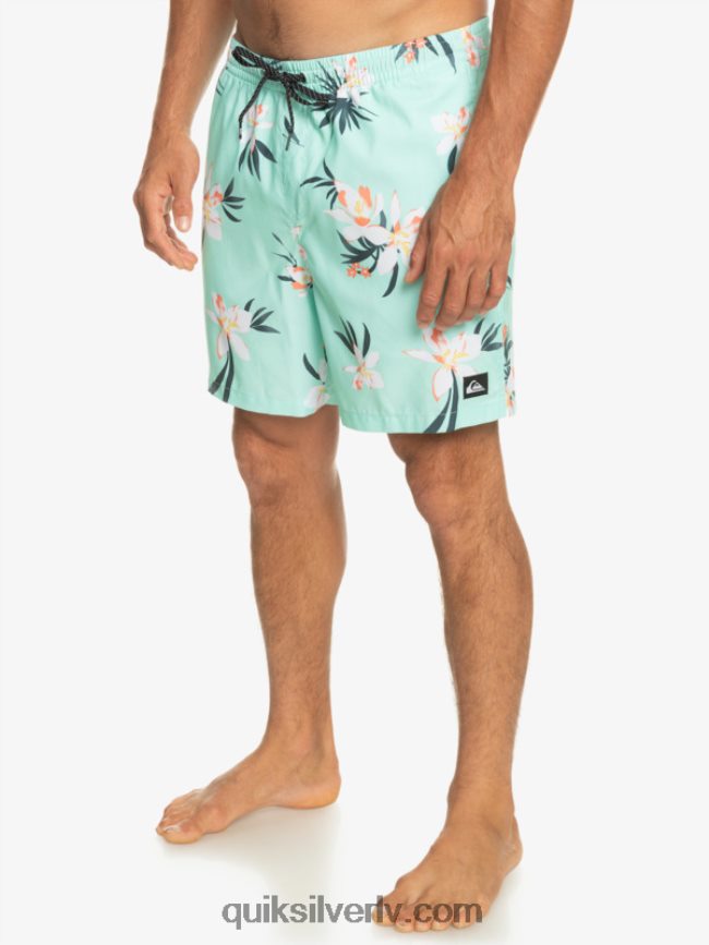 vīriešiem Quiksilver ikdienas mix 17 zalves pludmales stikls 88064R1211