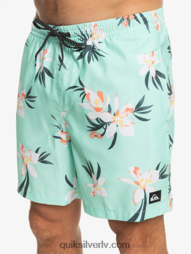 vīriešiem Quiksilver ikdienas mix 17 zalves pludmales stikls 88064R1211