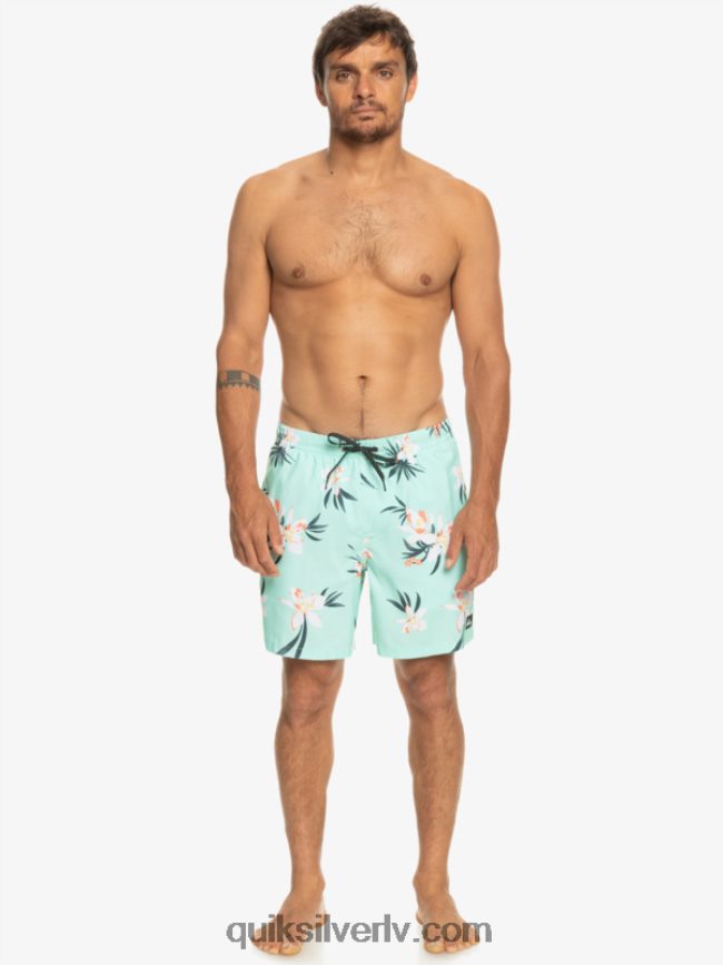 vīriešiem Quiksilver ikdienas mix 17 zalves pludmales stikls 88064R1211