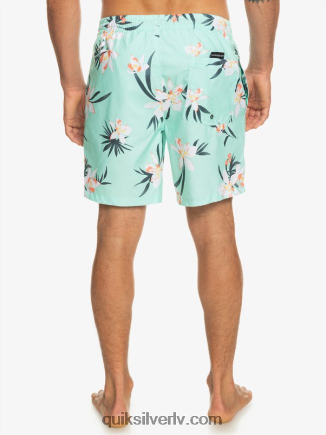 vīriešiem Quiksilver ikdienas mix 17 zalves pludmales stikls 88064R1211