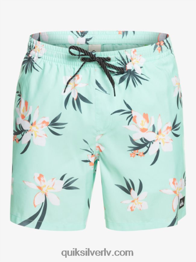 vīriešiem Quiksilver ikdienas mix 17 zalves pludmales stikls 88064R1211