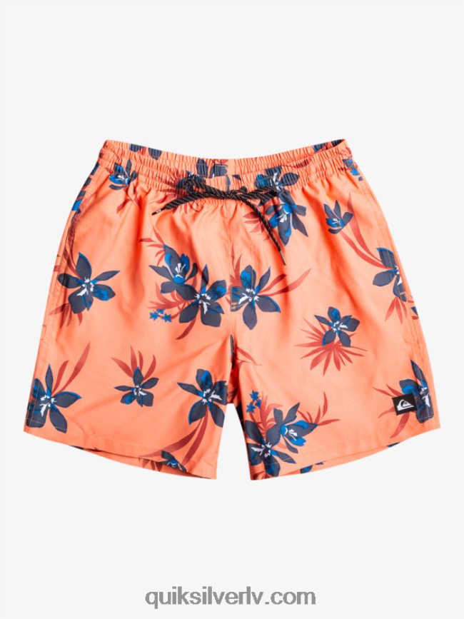 vīriešiem Quiksilver ikdienas mix 17 zalves svaigs lasis 88064R1209