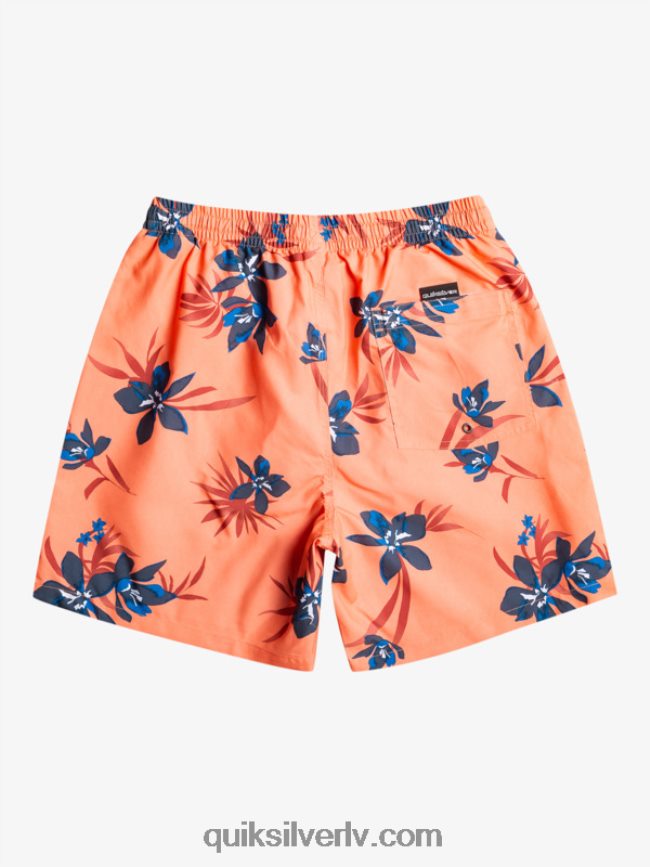 vīriešiem Quiksilver ikdienas mix 17 zalves svaigs lasis 88064R1209