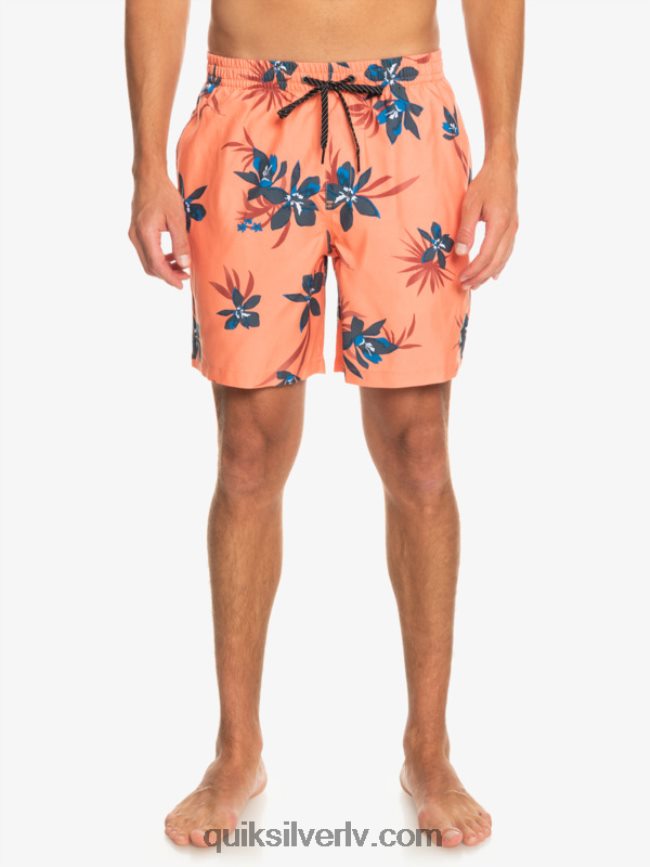vīriešiem Quiksilver ikdienas mix 17 zalves svaigs lasis 88064R1209