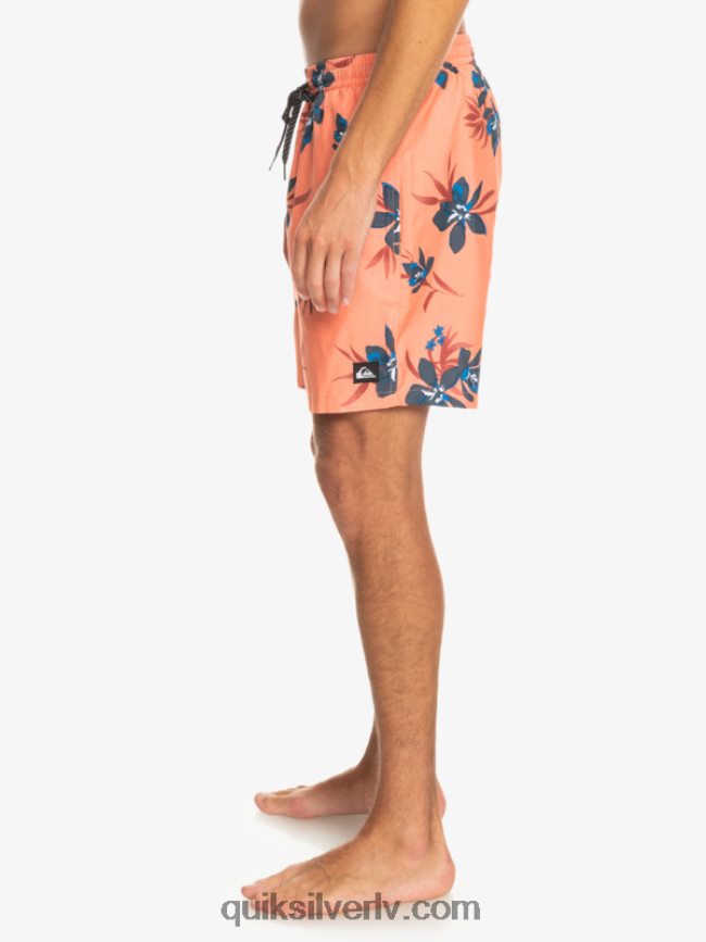 vīriešiem Quiksilver ikdienas mix 17 zalves svaigs lasis 88064R1209