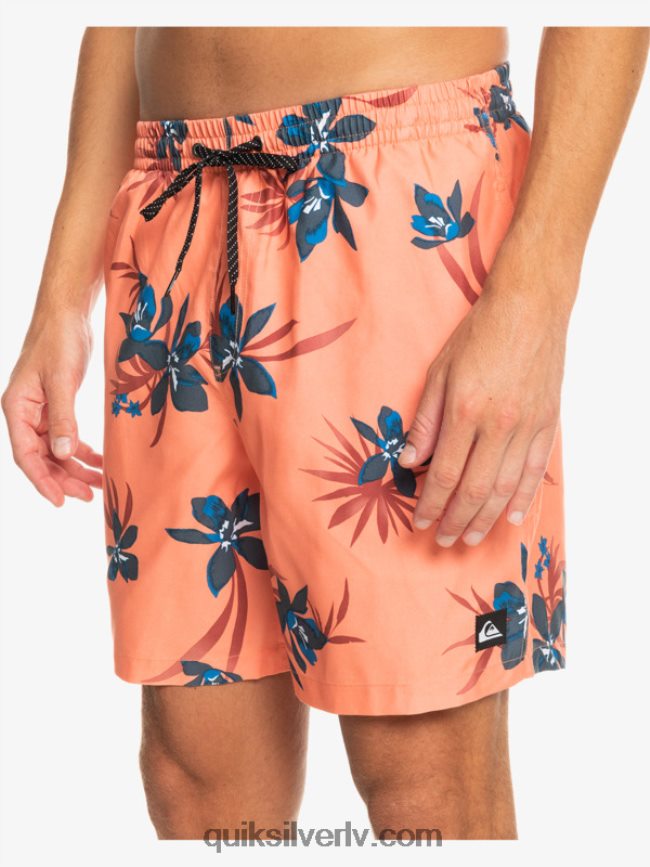 vīriešiem Quiksilver ikdienas mix 17 zalves svaigs lasis 88064R1209