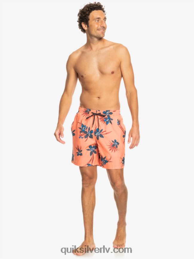 vīriešiem Quiksilver ikdienas mix 17 zalves svaigs lasis 88064R1209