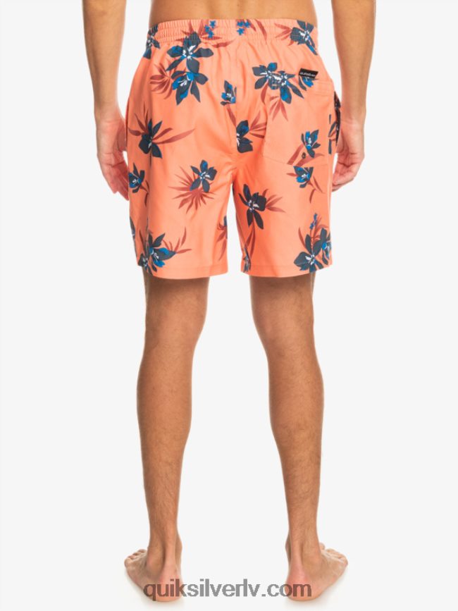 vīriešiem Quiksilver ikdienas mix 17 zalves svaigs lasis 88064R1209