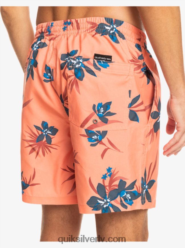 vīriešiem Quiksilver ikdienas mix 17 zalves svaigs lasis 88064R1209