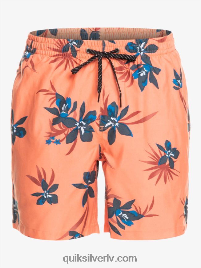 vīriešiem Quiksilver ikdienas mix 17 zalves svaigs lasis 88064R1209