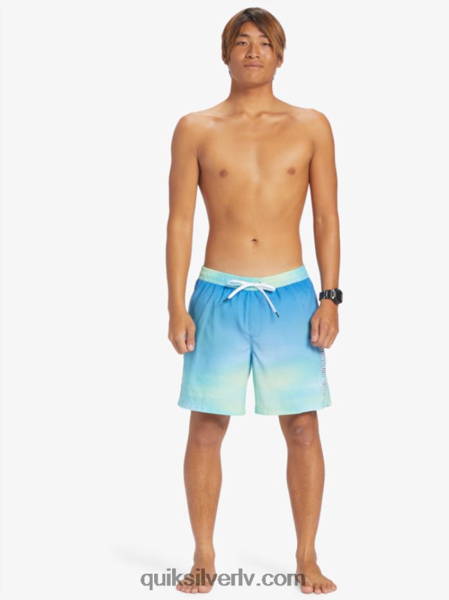 vīriešiem Quiksilver ikdienas vēsmas 17 zalves upe zila 88064R722