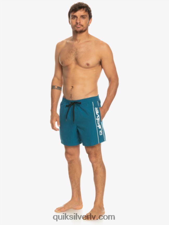 vīriešiem Quiksilver ikdienas vert 16 zalves marokas zils 88064R701