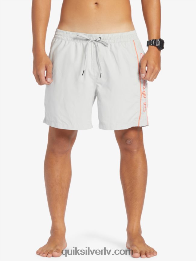 vīriešiem Quiksilver ikdienas vert 16 zalves pelēka violeta 88064R700