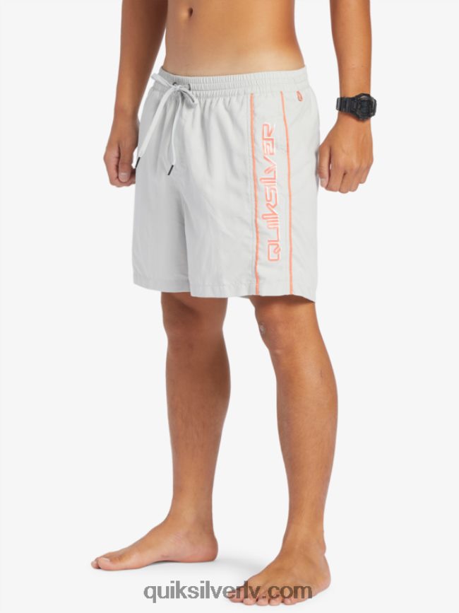 vīriešiem Quiksilver ikdienas vert 16 zalves pelēka violeta 88064R700