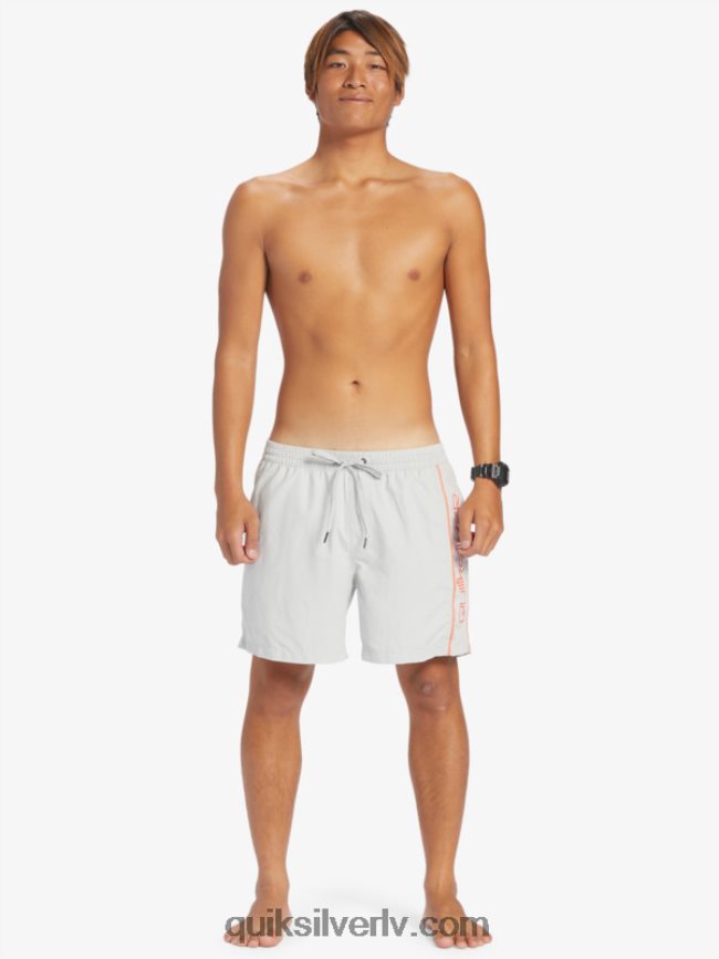 vīriešiem Quiksilver ikdienas vert 16 zalves pelēka violeta 88064R700