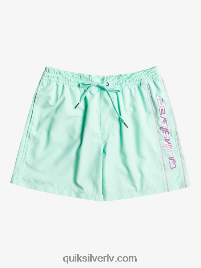 vīriešiem Quiksilver ikdienas vert 16 zalves pludmales stikls 88064R702