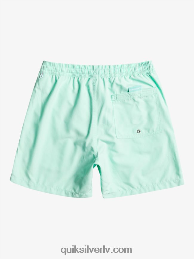 vīriešiem Quiksilver ikdienas vert 16 zalves pludmales stikls 88064R702