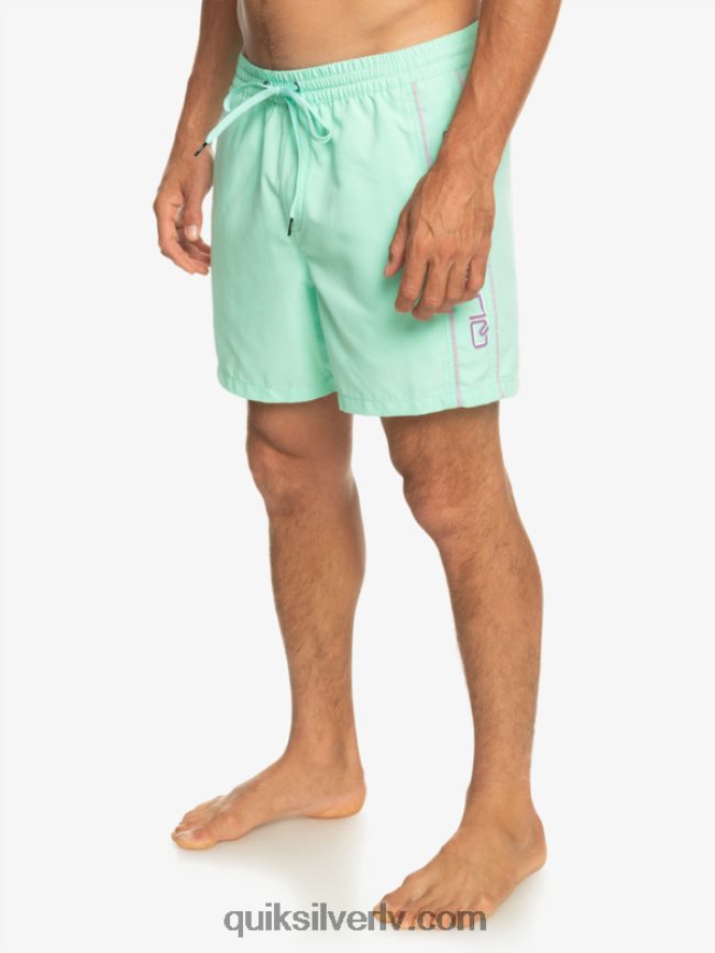 vīriešiem Quiksilver ikdienas vert 16 zalves pludmales stikls 88064R702