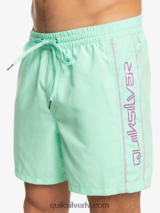 vīriešiem Quiksilver ikdienas vert 16 zalves pludmales stikls 88064R702