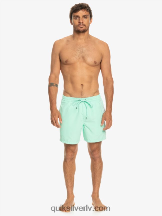 vīriešiem Quiksilver ikdienas vert 16 zalves pludmales stikls 88064R702