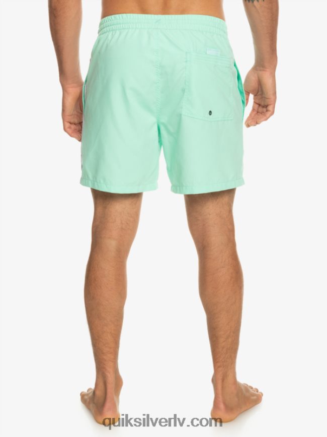 vīriešiem Quiksilver ikdienas vert 16 zalves pludmales stikls 88064R702