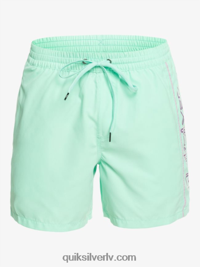 vīriešiem Quiksilver ikdienas vert 16 zalves pludmales stikls 88064R702