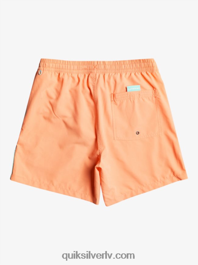 vīriešiem Quiksilver ikdienas vert 16 zalves svaigs lasis 88064R703