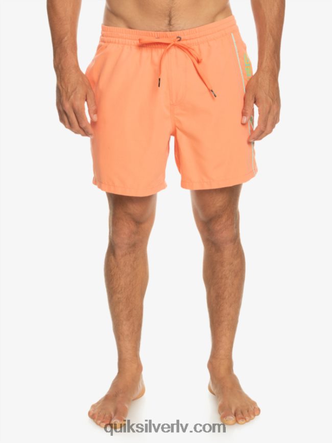 vīriešiem Quiksilver ikdienas vert 16 zalves svaigs lasis 88064R703
