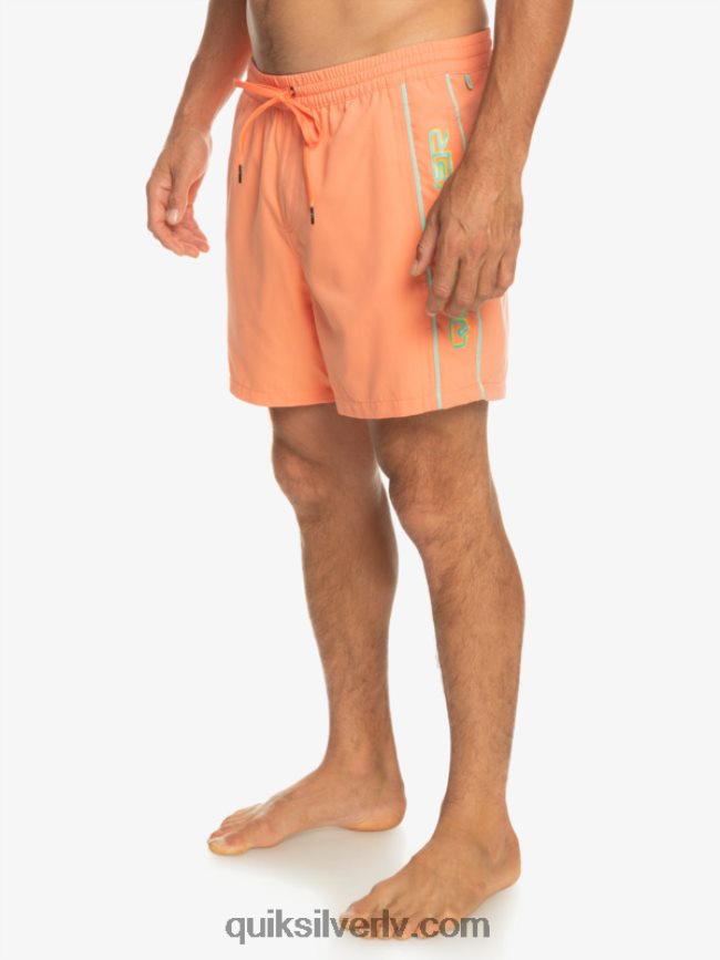 vīriešiem Quiksilver ikdienas vert 16 zalves svaigs lasis 88064R703