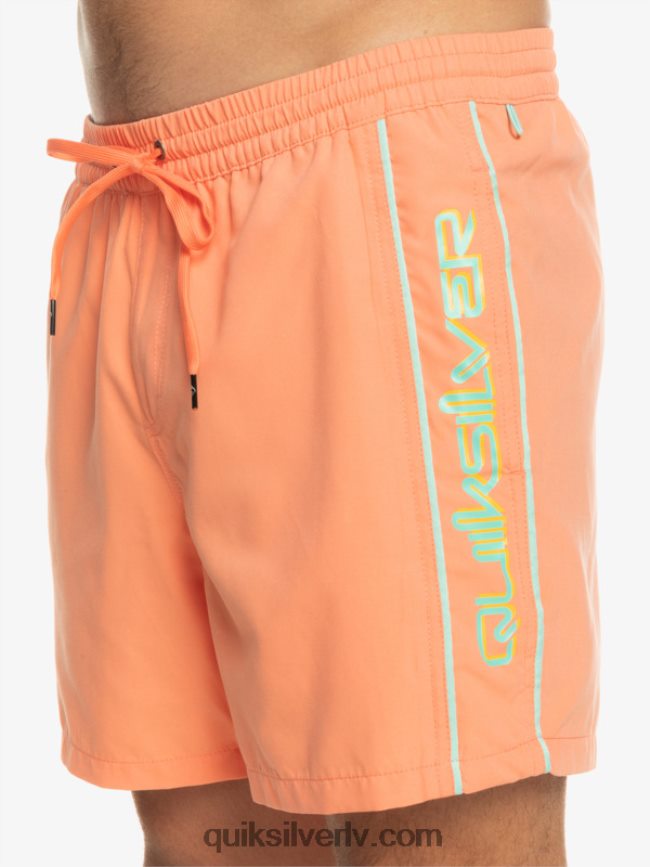 vīriešiem Quiksilver ikdienas vert 16 zalves svaigs lasis 88064R703