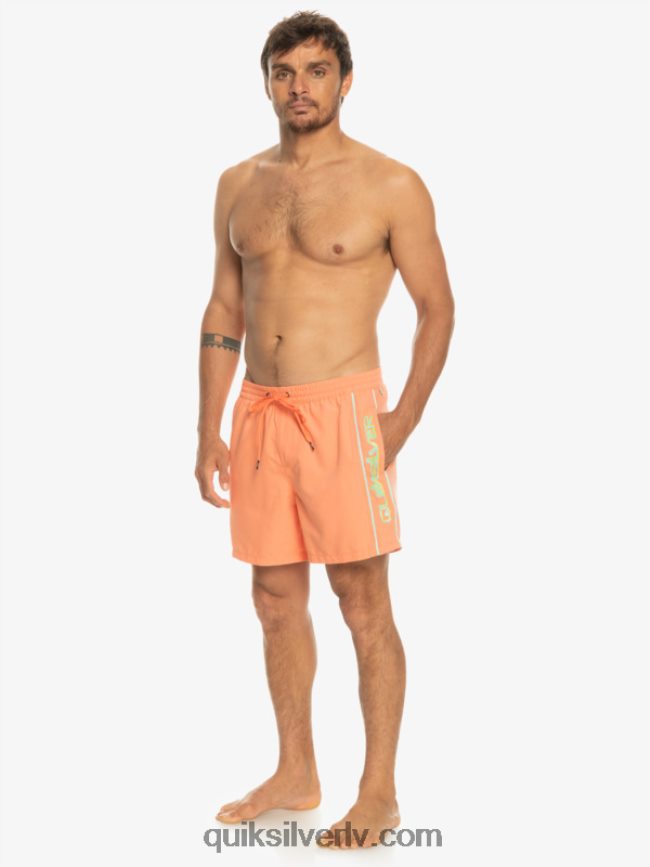 vīriešiem Quiksilver ikdienas vert 16 zalves svaigs lasis 88064R703