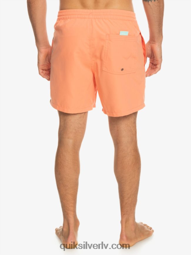 vīriešiem Quiksilver ikdienas vert 16 zalves svaigs lasis 88064R703